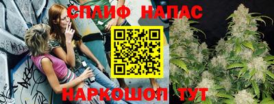 прущий лед Кингисепп