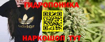 apvp Кинель