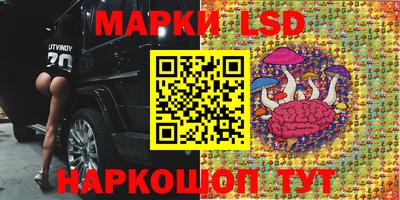 apvp Кинель