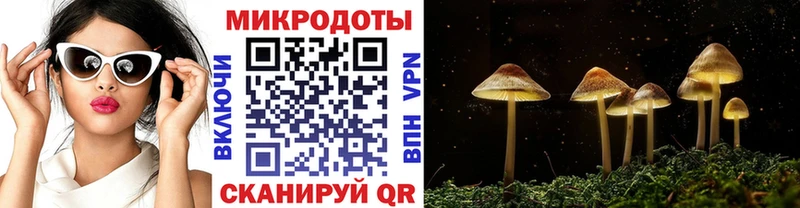Псилоцибиновые грибы прущие грибы  цены   Красногорск 